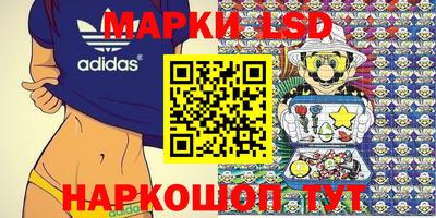 гидропоника Сланцы