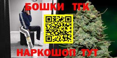 тгк Славгород