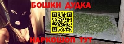 гидропоника Сланцы