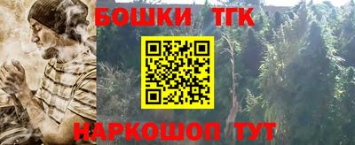 тгк Славгород