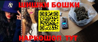 гидропоника Сланцы