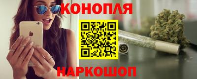 гидропоника Сланцы