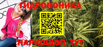 тгк Славгород