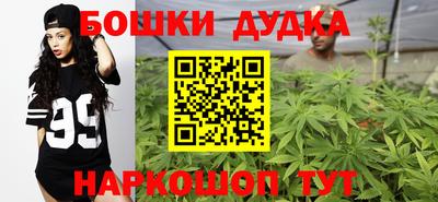 тгк Славгород
