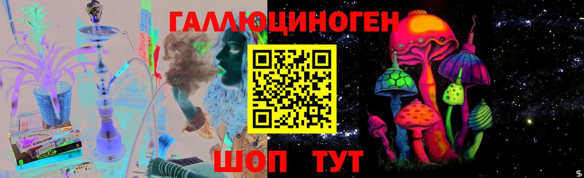 Псилоцибиновые грибы Psilocybe Полысаево